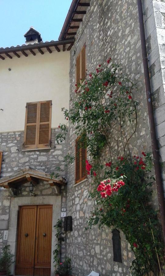 Agriturismo Terramia Meggiano Eksteriør billede